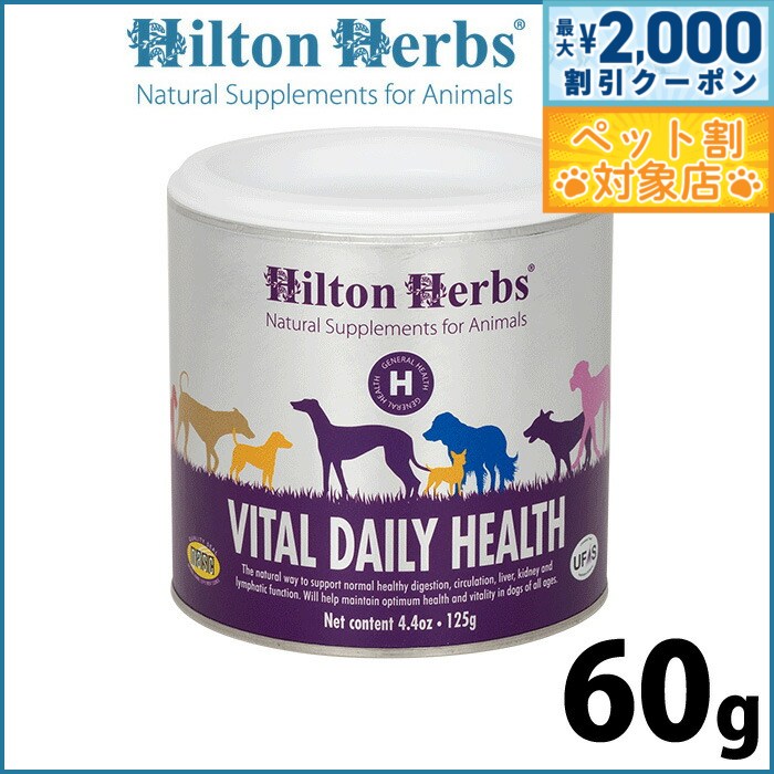 �ں���2000��OFF�����ݥ󡪡�Ź��ݥ���Ⱥ���62�ܡ��������ꡪ�ۥҥ�ȥ�ϡ��� �Х�����ǥ��꡼�إ륹 60g ���ץ���� �ϡ��� �����η򹯥��ݡ��� ...