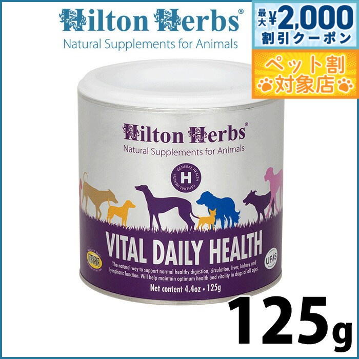 �ں���2000��OFF�����ݥ󡪡�Ź��ݥ���Ⱥ���62�ܡ��������ꡪ�ۥҥ�ȥ�ϡ��� �Х�����ǥ��꡼�إ륹 125g ���ץ���� �ϡ��� �����η򹯥��ݡ���...