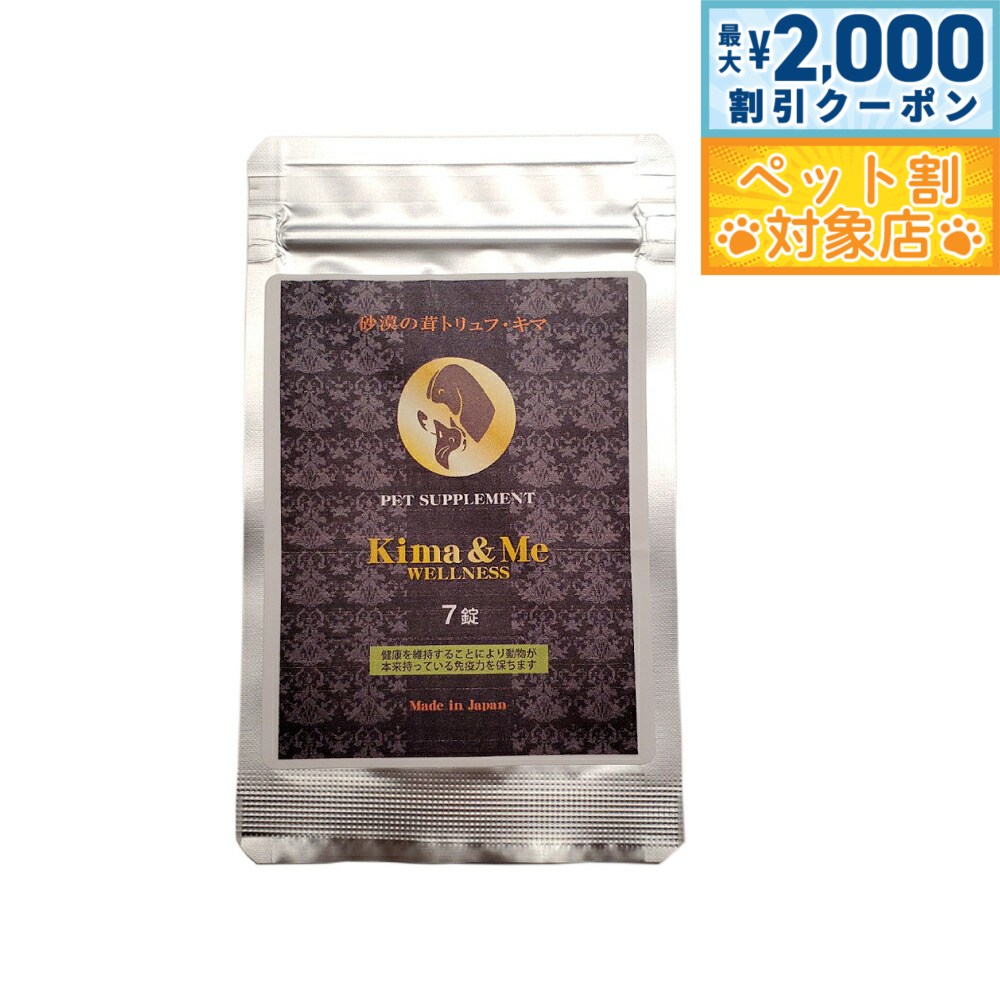 �ں���2000��OFF�����ݥ󡪡�Ź��ݥ���Ⱥ���62�ܡ��������ꡪ�ۥե��󥿥������� �ڥå��ѥ��ץ���� ���ޡ��ߡ� ������ͥ� 7��