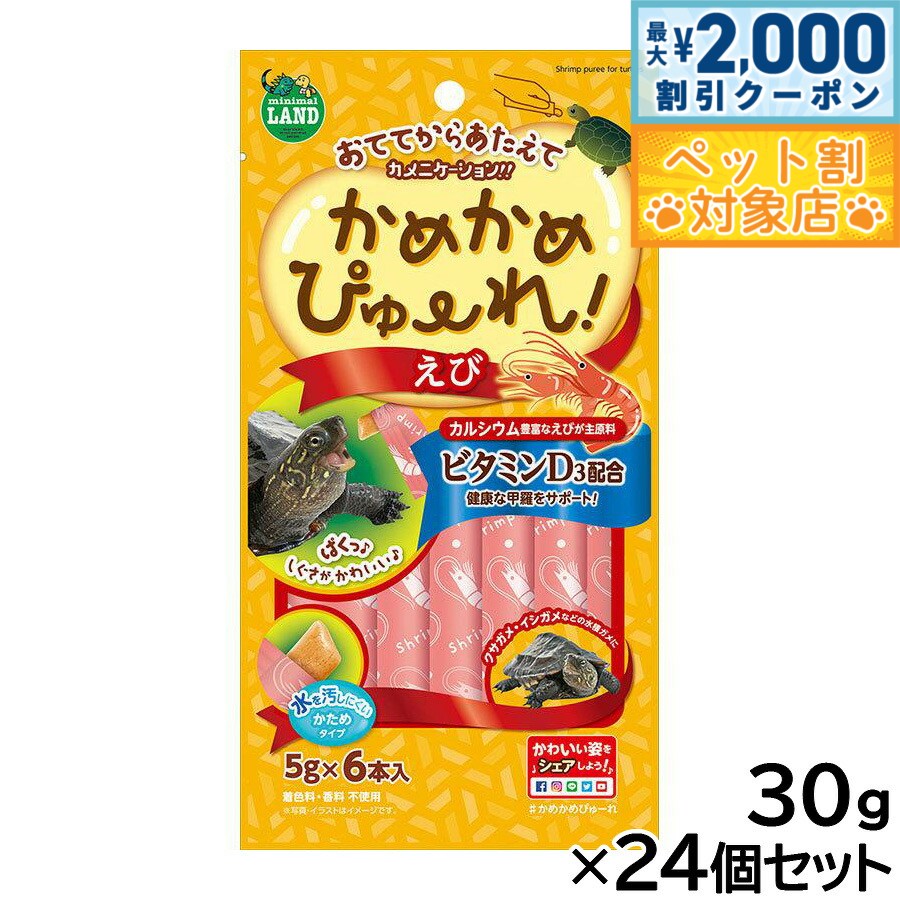 �ں���2000��OFF�����ݥ󡪡�Ź��ݥ���Ⱥ���62�ܡ��������ꡪ�ۥޥ륫�� ���ᤫ��Ԥ塼�� ���� 5g��6������24�ĥ��å�