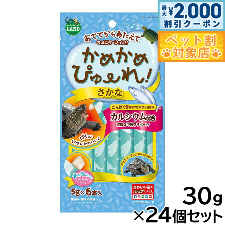 �ں���2000��OFF�����ݥ󡪡�Ź��ݥ���Ⱥ���62�ܡ��������ꡪ�ۥޥ륫�� ���ᤫ��Ԥ塼�� ������ 5g��6������24�ĥ��å�