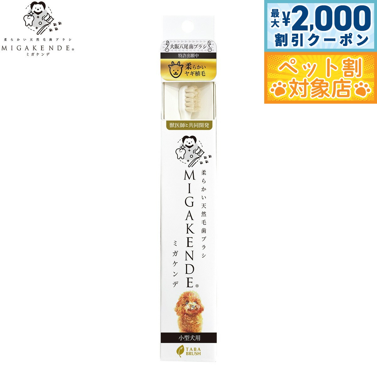 �ں���2000��OFF�����ݥ󡪡�Ź��ݥ���Ⱥ���62�ܡ��������ꡪ��MIGAKENDE ���餫��ŷ���ӻ��֥饷 �ߥ������ ���餫���䥮���� Ķ���餫 ������...