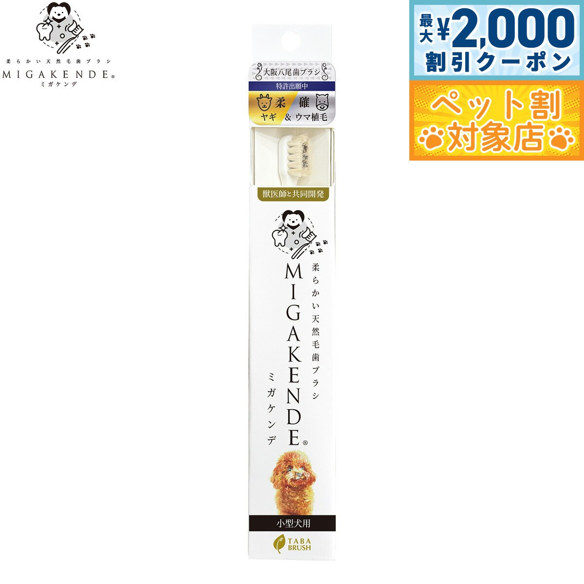 �ں���2000��OFF�����ݥ󡪡�Ź��ݥ���Ⱥ���62�ܡ��������ꡪ��MIGAKENDE ���餫��ŷ���ӻ��֥饷 �ߥ������ �䥮�����޿��� ���餫���᤭���� ...