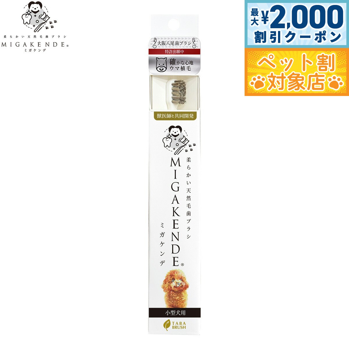 �ں���2000��OFF�����ݥ󡪡�Ź��ݥ���Ⱥ���62�ܡ��������ꡪ��MIGAKENDE ���餫��ŷ���ӻ��֥饷 �ߥ������ ���޿��� �Τ����᤭���� ��������