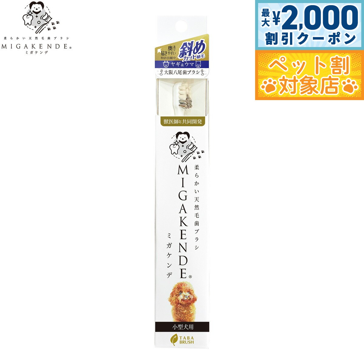 �ں���2000��OFF�����ݥ󡪡�Ź��ݥ���Ⱥ���62�ܡ��������ꡪ��MIGAKENDE ���餫��ŷ���ӻ��֥饷 �ߥ������ �Фᥫ�åȿ��ӡʥ䥮�����ޡ� ����...