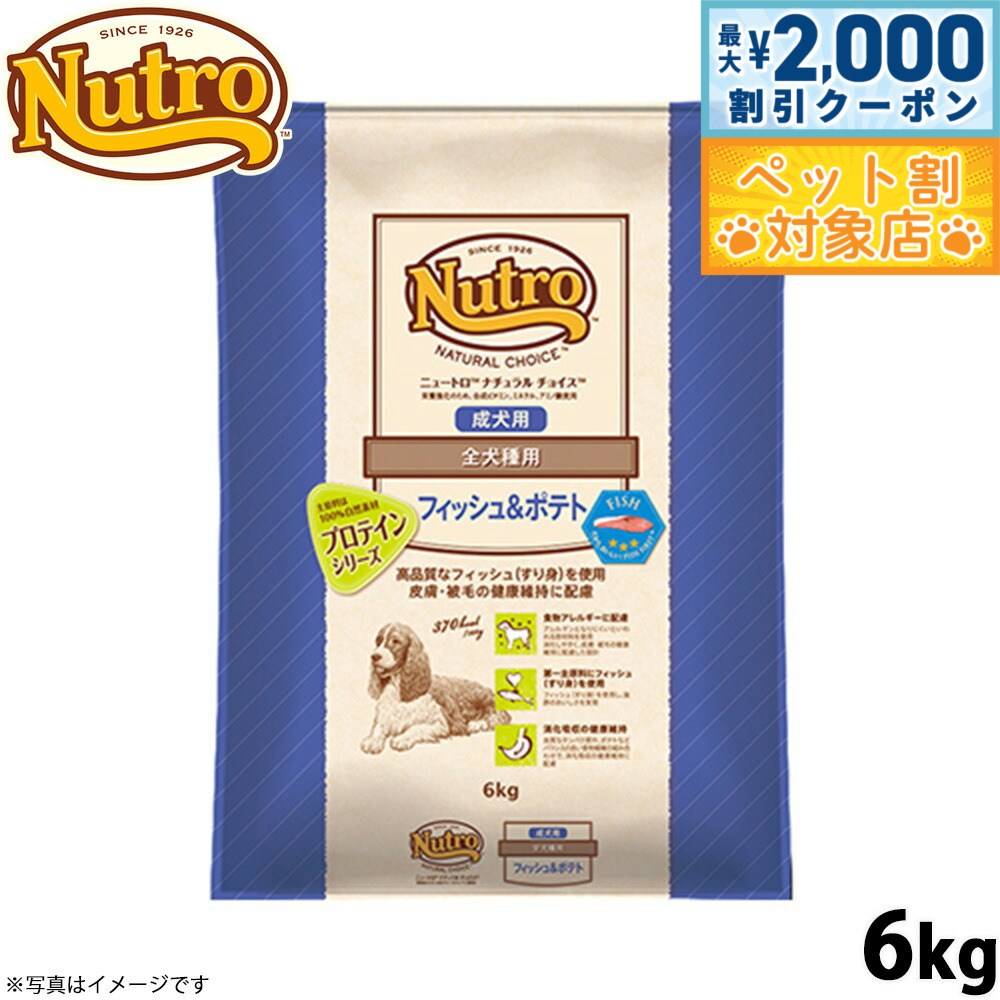 �ں���2000��OFF�����ݥ󡪡�Ź��ݥ���Ⱥ���62�ܡ��������ꡪ�ۥ˥塼�ȥ� �ʥ�������祤�� �ɥå��ա��� �ե��å�����ݥƥ� �������� ������ 6kg...