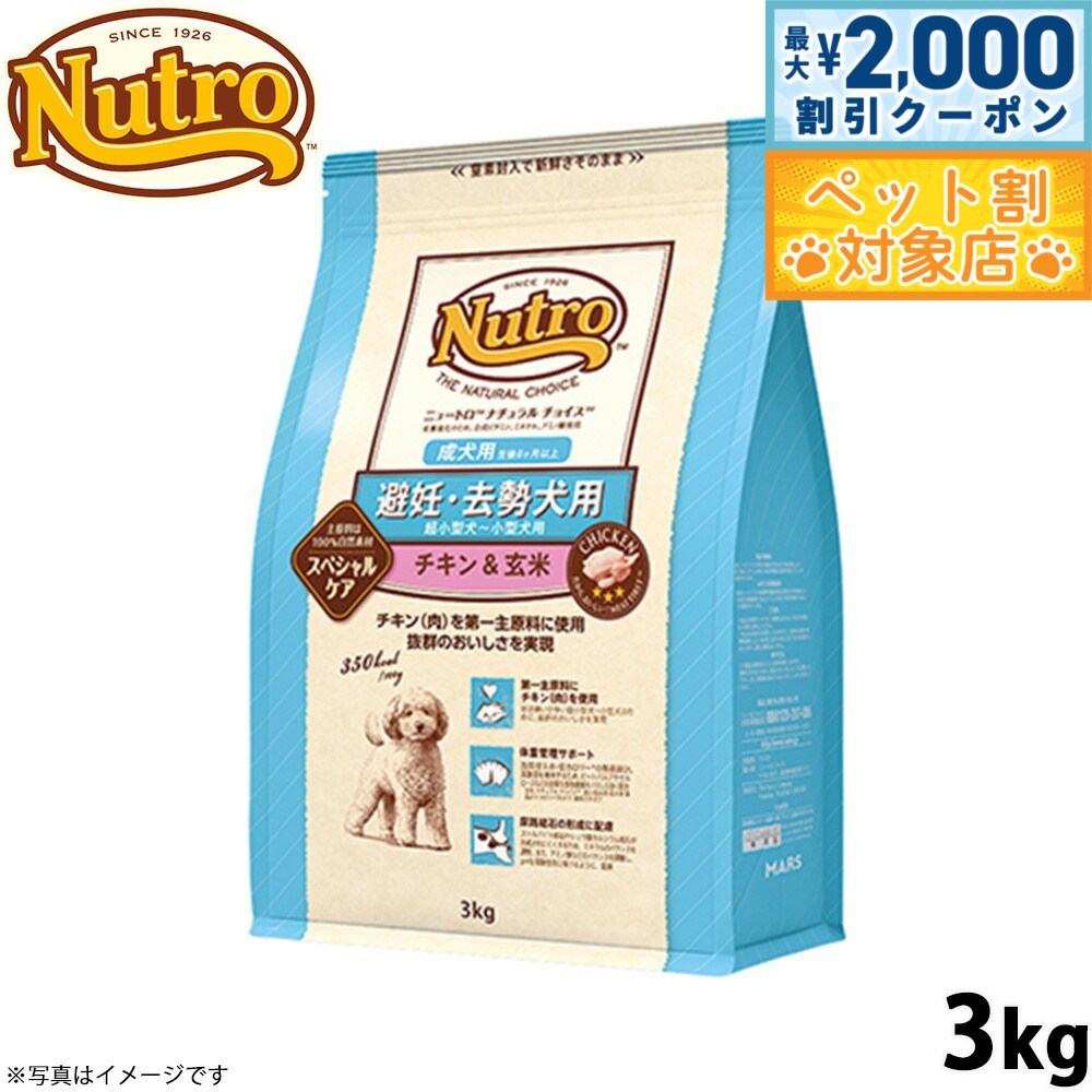 �ں���2000��OFF�����ݥ󡪡�Ź��ݥ���Ⱥ���62�ܡ��������ꡪ�ۥ˥塼�ȥ� �ʥ�������祤�� �ɥå��ա��� ��ǥ �������� ������ ����������� 3kg...