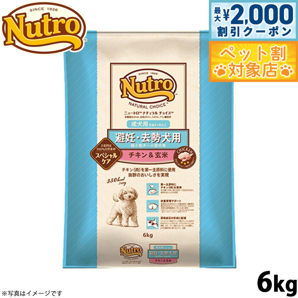 【最大2000円OFFクーポン！＆店内ポ�