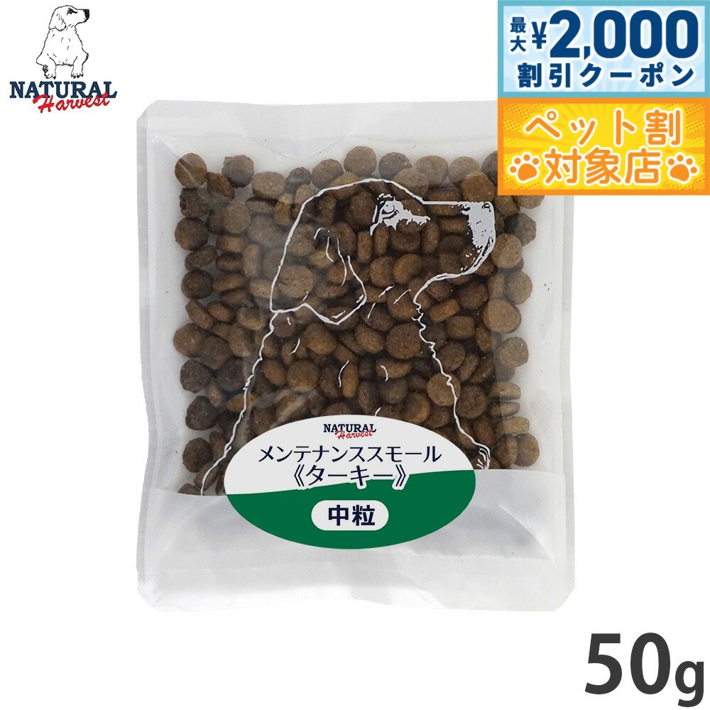 �ں���2000��OFF�����ݥ󡪡�Ź��ݥ���Ⱥ���62�ܡ��������ꡪ�ۥʥ�����ϡ��٥��� �ɥå��ա��� ���ƥʥ� ���⡼�� �������� 50g ̵ź�� ����...