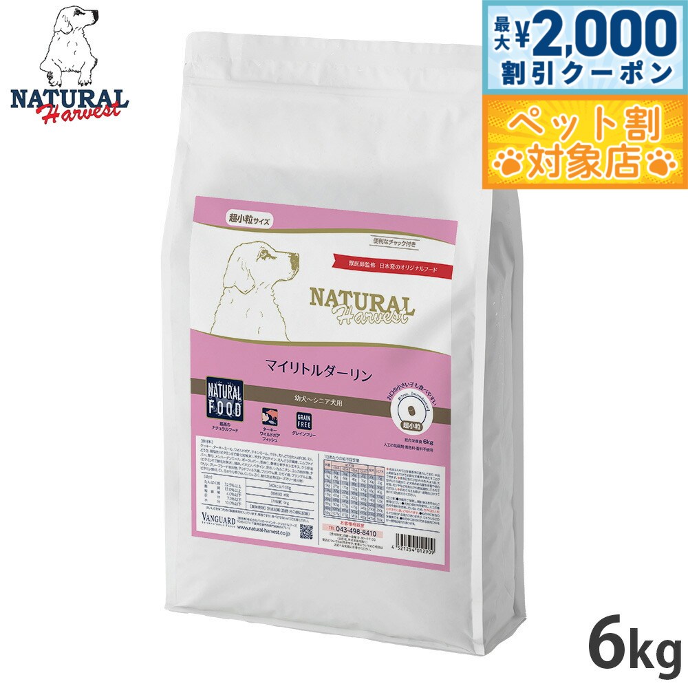 �ں���2000��OFF�����ݥ󡪡�Ź��ݥ���Ⱥ���62�ܡ��������ꡪ�ۥʥ�����ϡ��٥��� �ɥå��ա��� �ޥ���ȥ������� �ĸ������˥����� Ķ��γ ���쥤��...