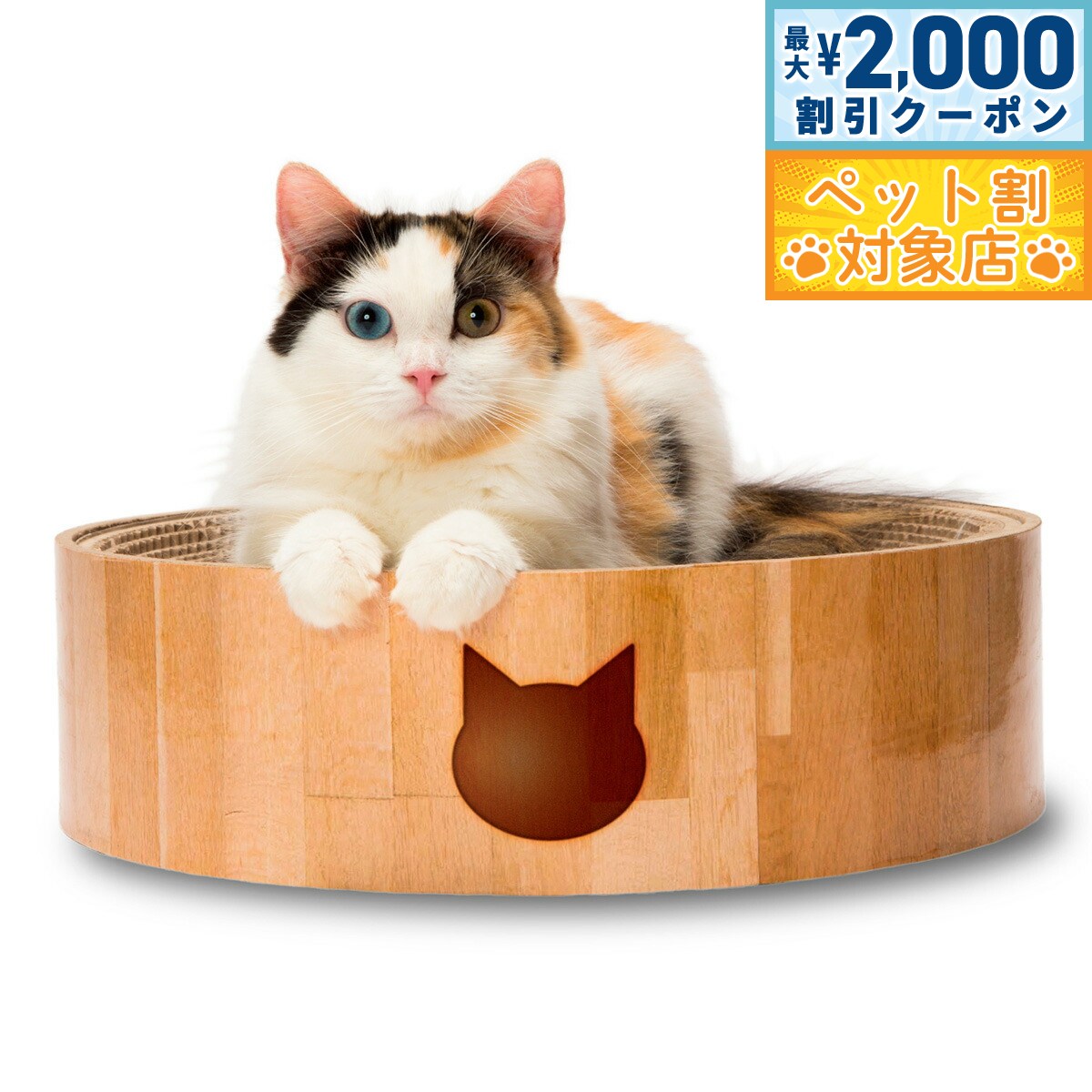 �ں���2000��OFF�����ݥ󡪡�Ź��ݥ���Ⱥ���62�ܡ��������ꡪ��ǭ�� �Х�Х�ܥ��� ǭ�� ǭ �ޤȤ� �ޤߤ��� ����ܡ��� ����ȭ��