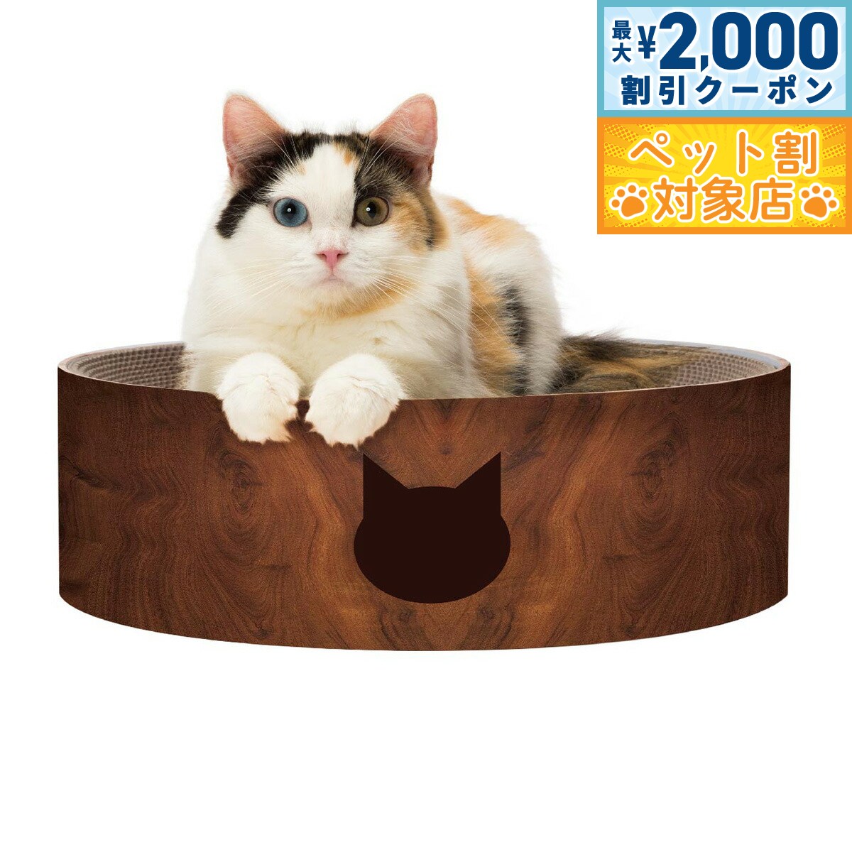 �ں���2000��OFF�����ݥ󡪡�Ź��ݥ���Ⱥ���62�ܡ��������ꡪ��ǭ�� �Х�Х�ܥ��� ǭ�� �������֥饦�� ǭ �ޤȤ� �ޤߤ��� ����ܡ��� ����ȭ��