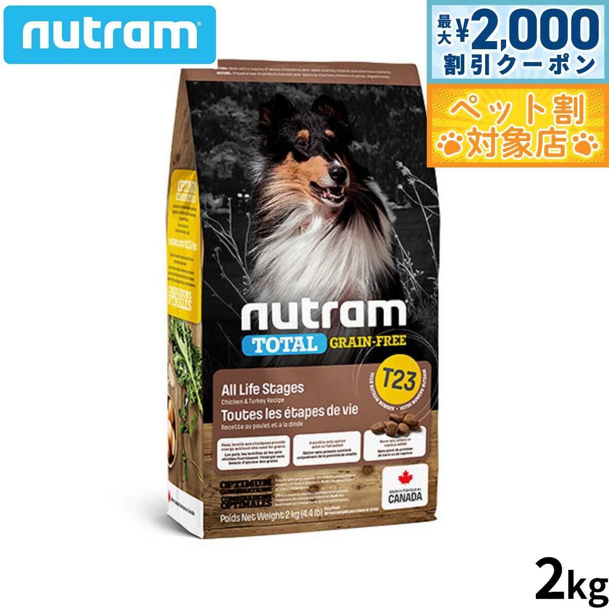 �ں���2000��OFF�����ݥ󡪡�Ź��ݥ���Ⱥ���62�ܡ��������ꡪ�ۥ˥塼�ȥ�� �ɥå��ա��� �ȡ����� ���쥤��ե꡼ T23 ��������������� ����γ 2...