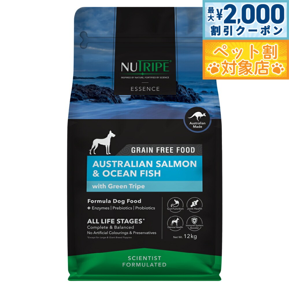 �ں���2000��OFF�����ݥ󡪡�Ź��ݥ���Ⱥ���62�ܡ��������ꡪ�ۥ˥塼�ȥ饤�� GF�ɥ饤 �ɥå� ���������ե��å��� with ���꡼��ȥ饤�� 12...