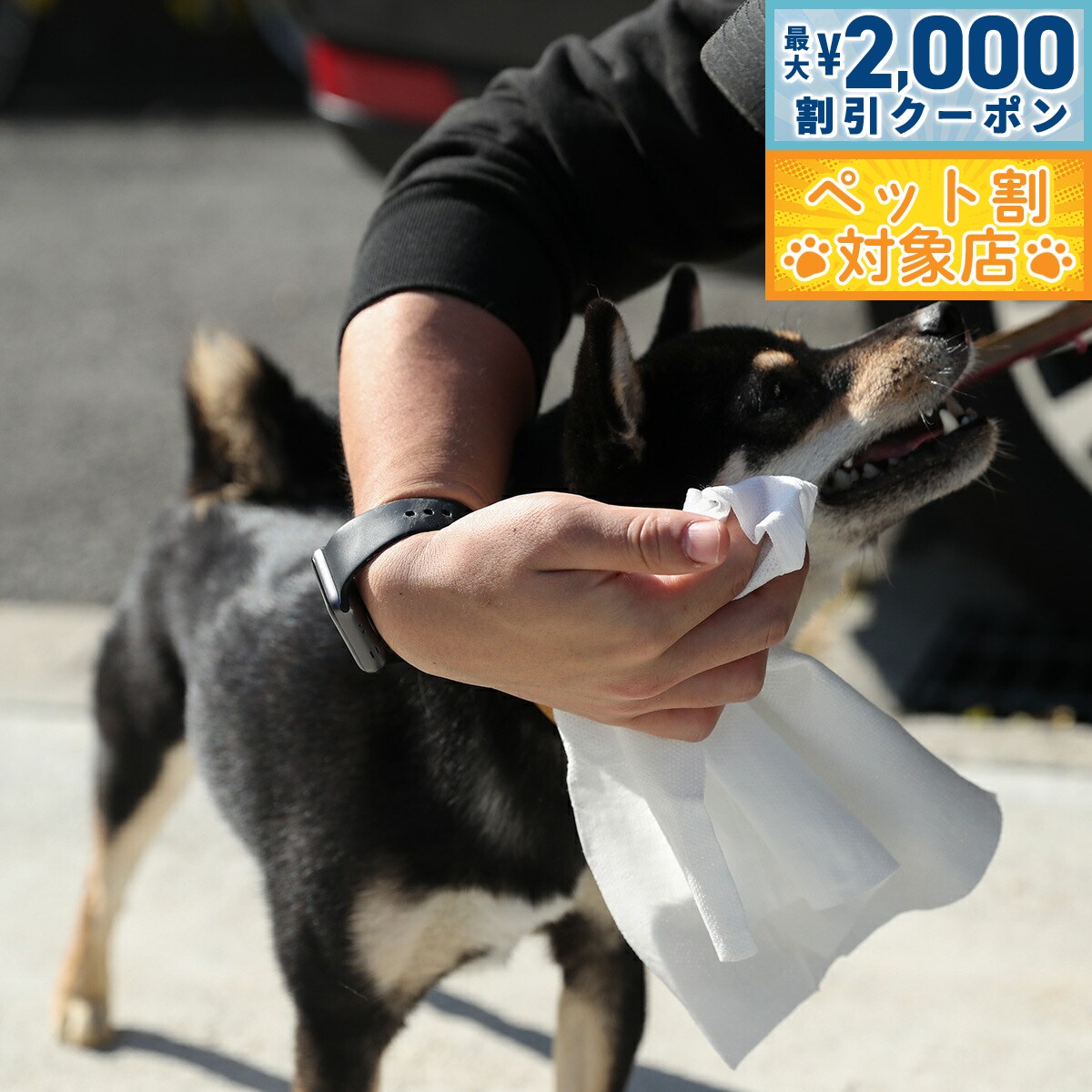 �ں���2000��OFF�����ݥ󡪡�Ź��ݥ���Ⱥ���62�ܡ��������ꡪ�ۥϥåԡ��ǥ��� HappyDays ���Ф����ѽ��ݥ����åȥ����� 5���� �� ǭ �����å�...