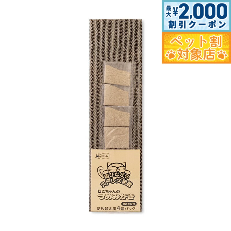 �ں���2000��OFF�����ݥ󡪡�Ź��ݥ���Ⱥ���62�ܡ��������ꡪ�ۤͤ������� �ͤ������ΤĤ�ߤ��� �ͤ��ؤ� 4P