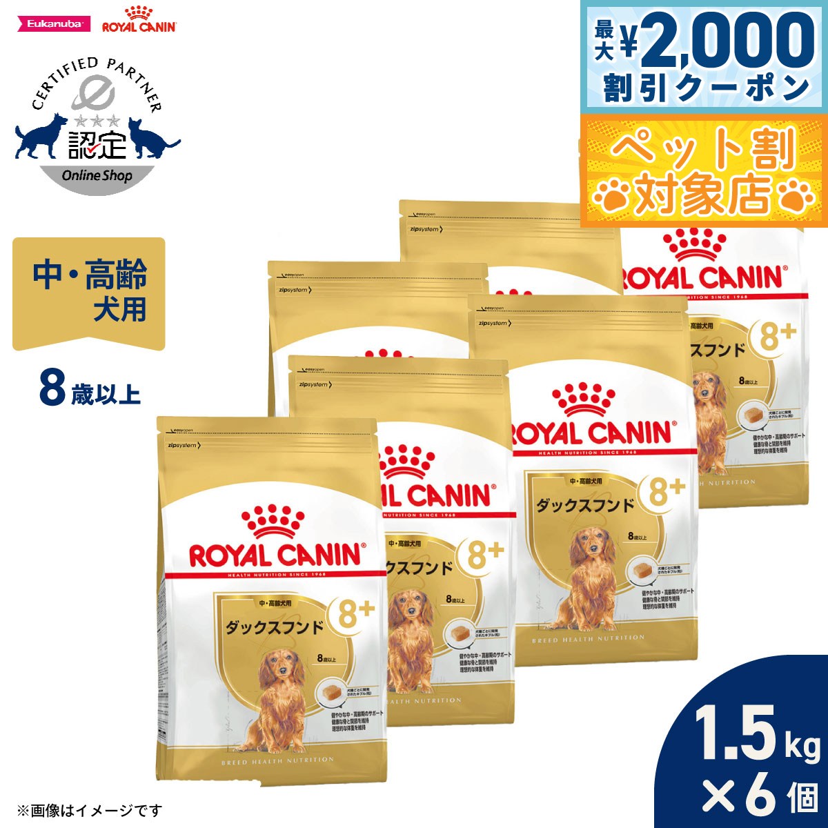 �ں���2000��OFF�����ݥ󡪡�Ź��ݥ���Ⱥ���62�ܡ��������ꡪ�ۥ�����륫�ʥ� �� �ɥå��ա��� �֥꡼�ɥإ륹�˥塼�ȥꥷ��� ���å����ե�����ѥա���...