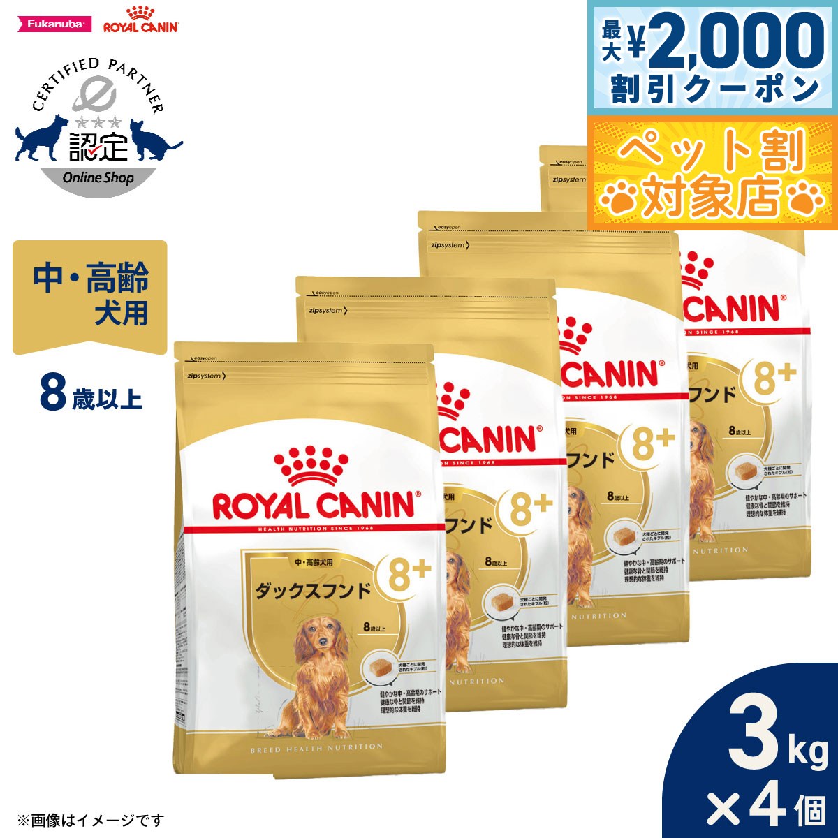 �ں���2000��OFF�����ݥ󡪡�Ź��ݥ���Ⱥ���62�ܡ��������ꡪ�ۥ�����륫�ʥ� �� �ɥå��ա��� �֥꡼�ɥإ륹�˥塼�ȥꥷ��� ���å����ե�����ѥա���...