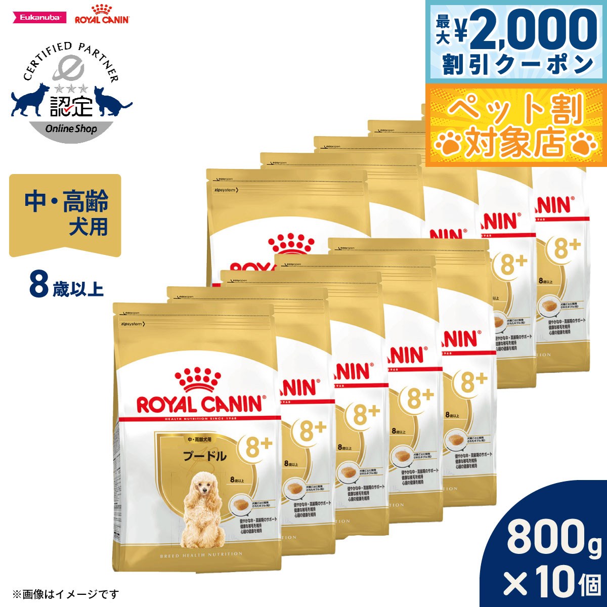 �ں���2000��OFF�����ݥ󡪡�Ź��ݥ���Ⱥ���62�ܡ��������ꡪ�ۥ�����륫�ʥ� �� �ɥå��ա��� �֥꡼�ɥإ륹�˥塼�ȥꥷ��� �ס��ɥ����ѥա��� �� ...