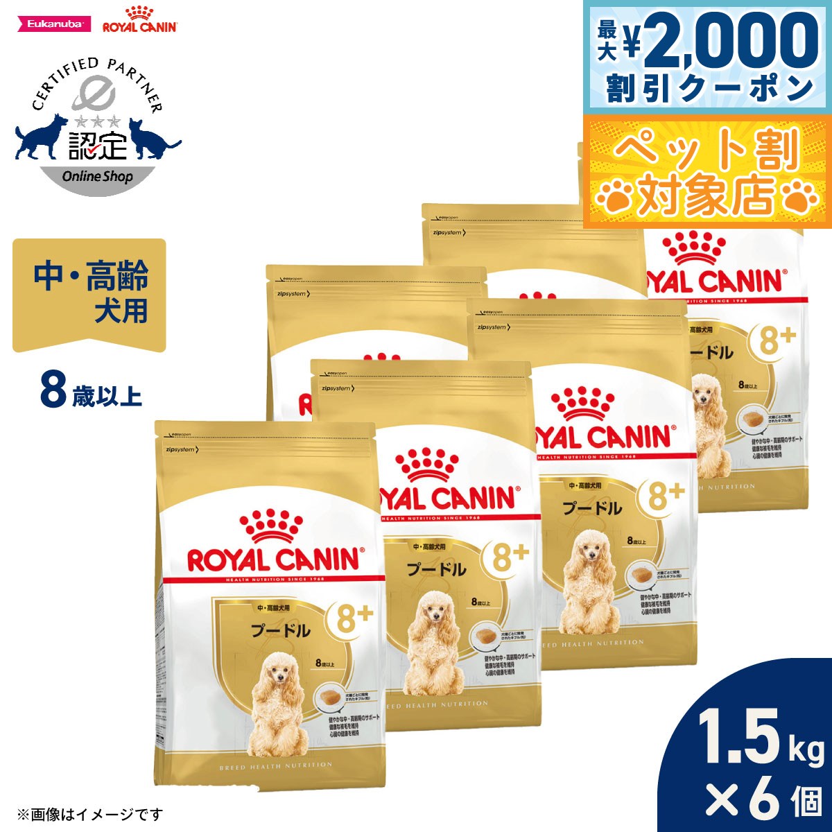 �ں���2000��OFF�����ݥ󡪡�Ź��ݥ���Ⱥ���62�ܡ��������ꡪ�ۥ�����륫�ʥ� �� �ɥå��ա��� �֥꡼�ɥإ륹�˥塼�ȥꥷ��� �ס��ɥ����ѥա��� �� ...