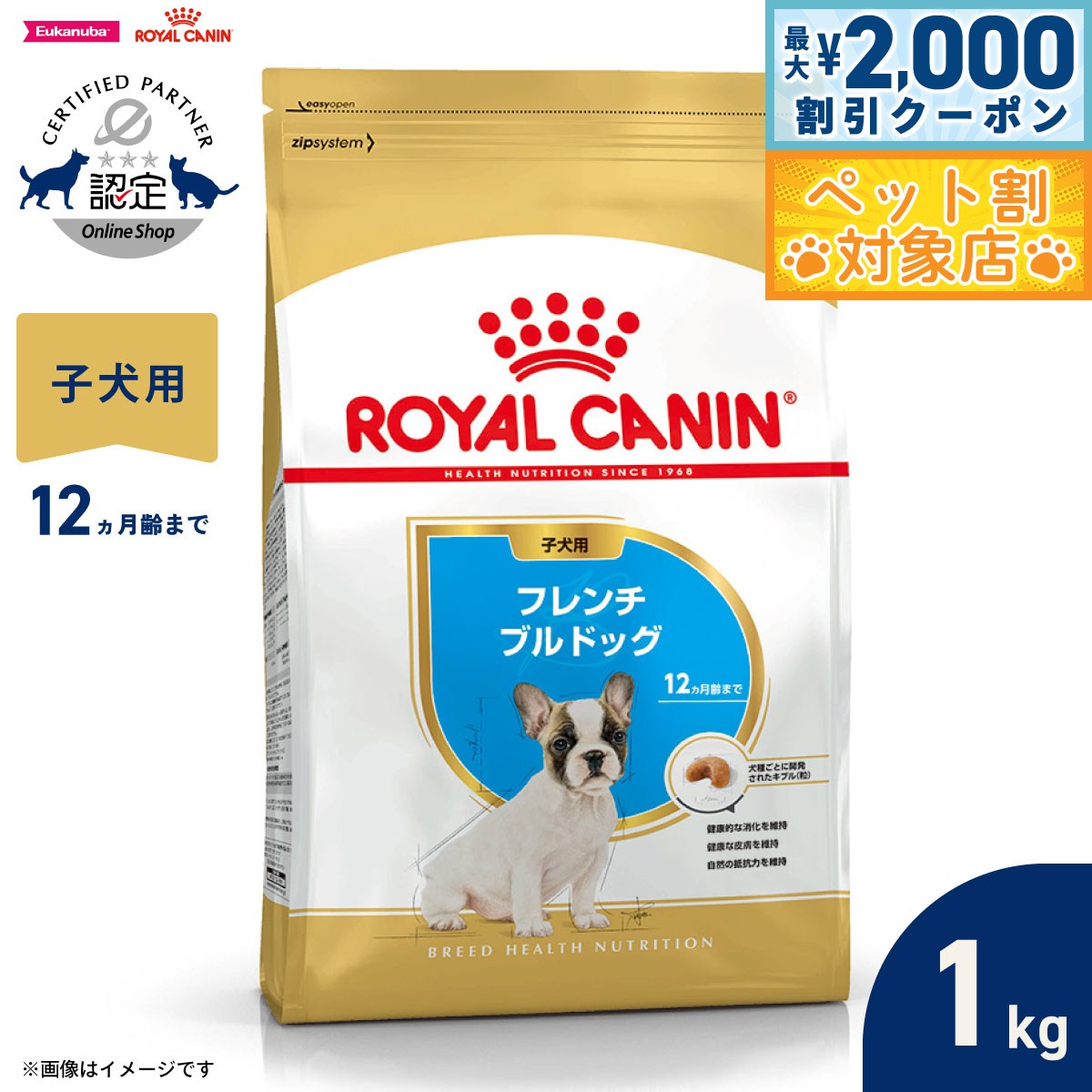 �ں���2000��OFF�����ݥ󡪡�Ź��ݥ���Ⱥ���62�ܡ��������ꡪ�ۥ�����륫�ʥ� �� �ɥå��ա��� �֥꡼�ɥإ륹�˥塼�ȥꥷ��� �ե����֥�ɥå����ѥ�...