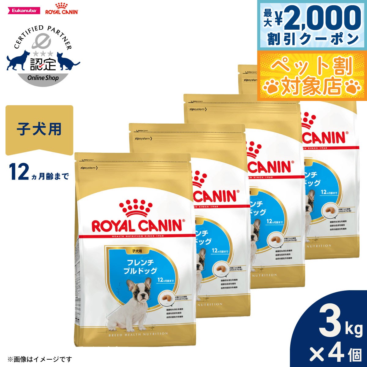 �ں���2000��OFF�����ݥ󡪡�Ź��ݥ���Ⱥ���62�ܡ��������ꡪ�ۥ�����륫�ʥ� �� �ɥå��ա��� �֥꡼�ɥإ륹�˥塼�ȥꥷ��� �ե����֥�ɥå����ѥ�...