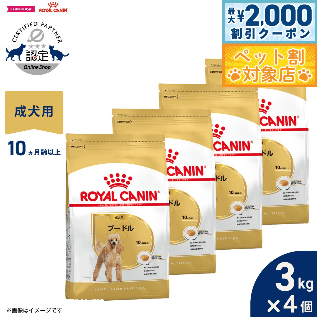 �ں���2000��OFF�����ݥ󡪡�Ź��ݥ���Ⱥ���62�ܡ��������ꡪ�ۥ�����륫�ʥ� �� �ɥå��ա��� �֥꡼�ɥإ륹�˥塼�ȥꥷ��� �ס��ɥ����ѥա��� ����...