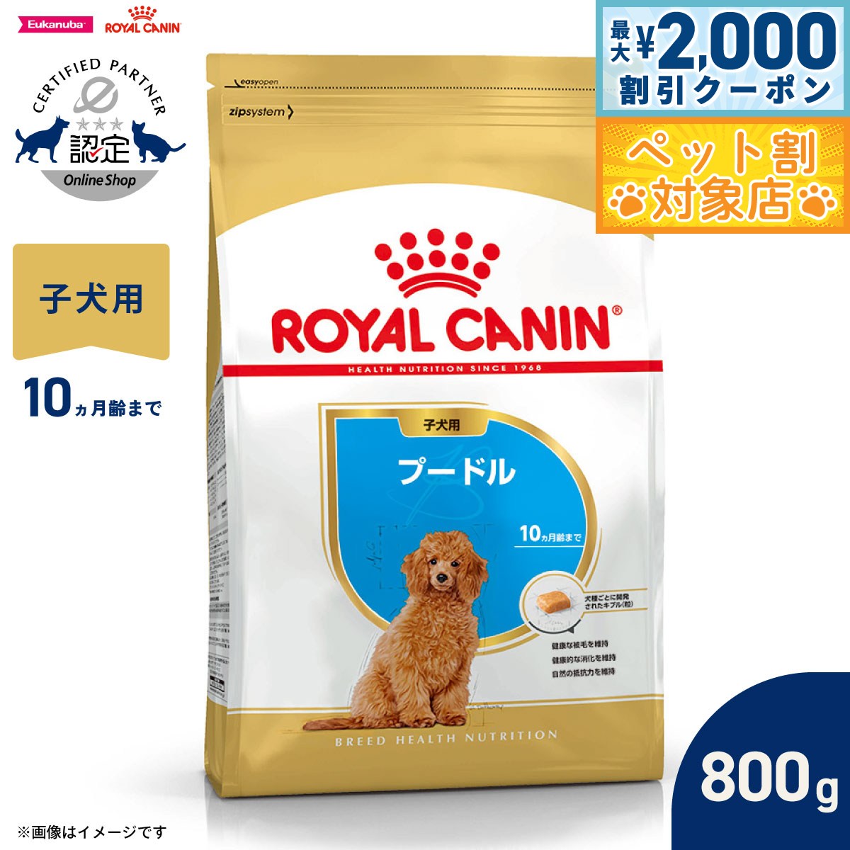 �ں���2000��OFF�����ݥ󡪡�Ź��ݥ���Ⱥ���62�ܡ��������ꡪ�ۥ�����륫�ʥ� �� �ɥå��ա��� �֥꡼�ɥإ륹�˥塼�ȥꥷ��� �ס��ɥ����ѥա��� �Ҹ�...