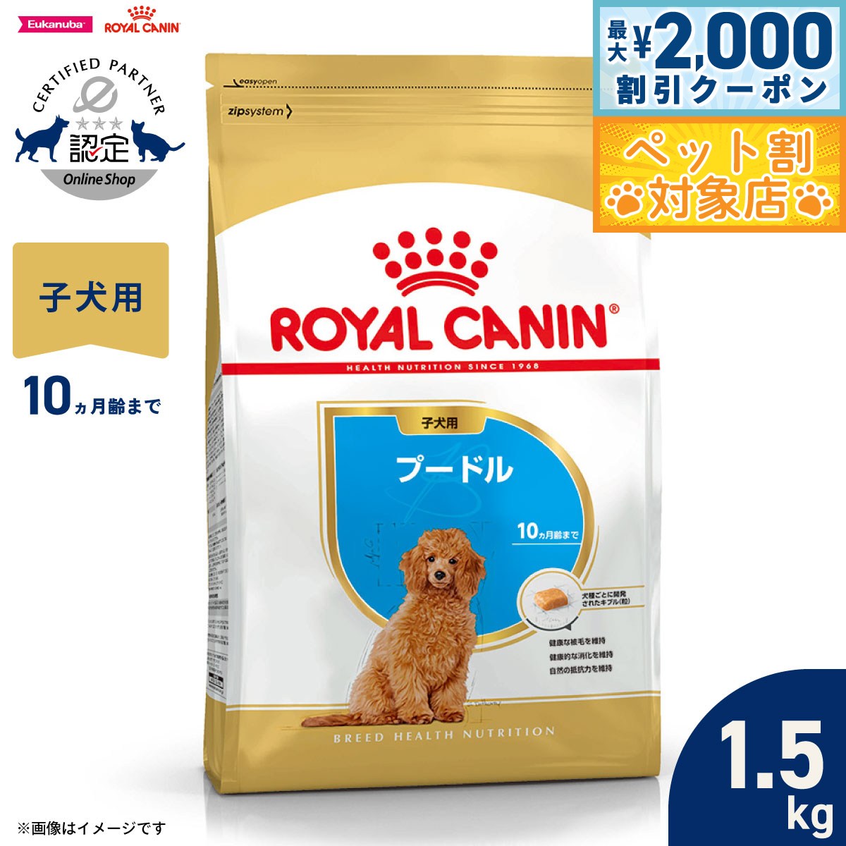 �ں���2000��OFF�����ݥ󡪡�Ź��ݥ���Ⱥ���62�ܡ��������ꡪ�ۥ�����륫�ʥ� �� �ɥå��ա��� �֥꡼�ɥإ륹�˥塼�ȥꥷ��� �ס��ɥ����ѥա��� �Ҹ�...