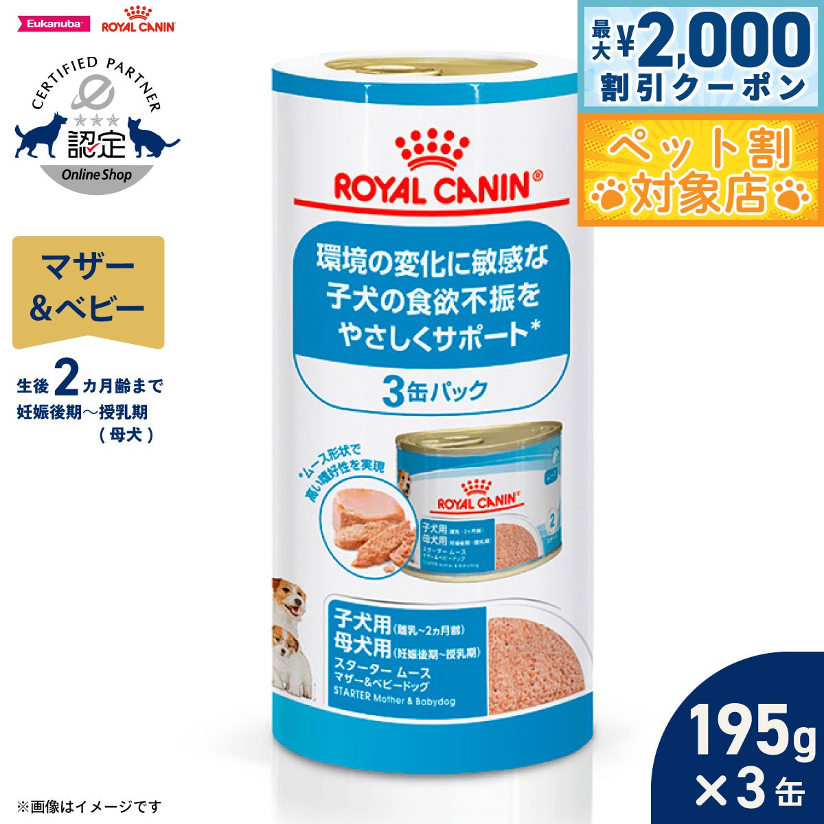 CANIN スタータームース 12×3セット CANIN スタータームース 12×3セット Royal canin shop