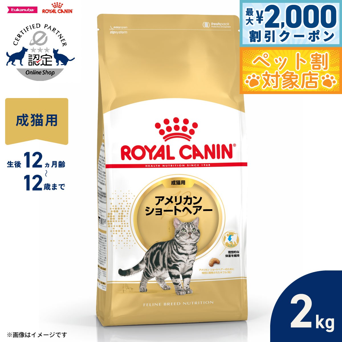 ロイヤルカナン 猫 キャットフード フィーラインブリードニュートリション アメリカンショートヘアー専用フード 成猫用 2kg 正規品