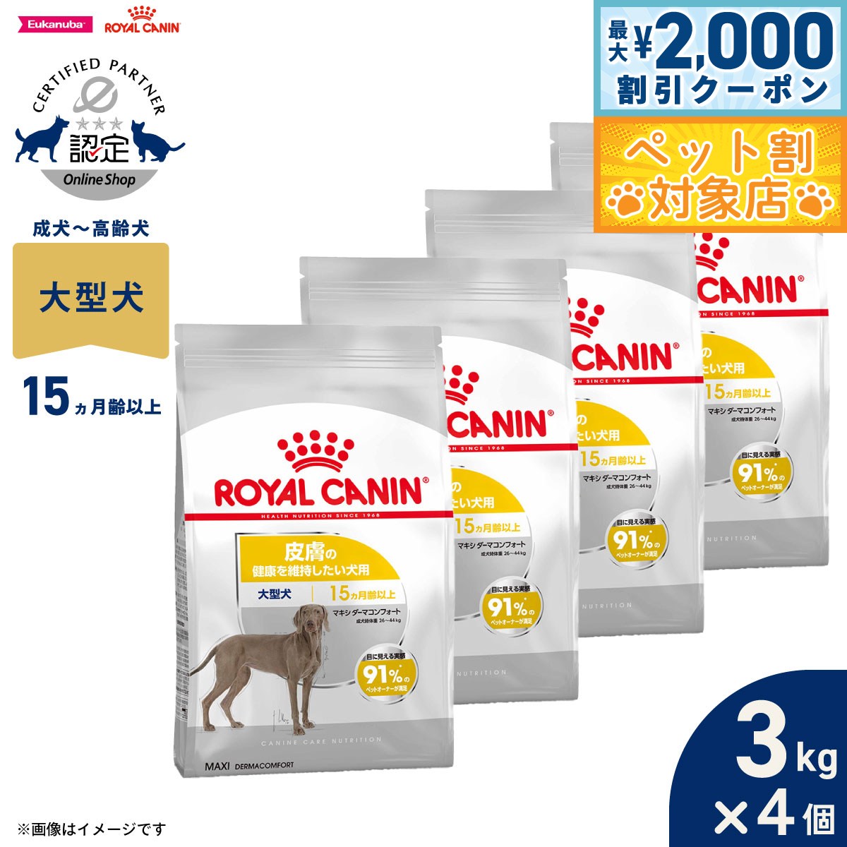 �ں���2000��OFF�����ݥ󡪡�Ź��ݥ���Ⱥ���62�ܡ��������ꡪ�ۥ�����륫�ʥ� �� �ɥå��ա��� �����ʥ��󥱥��˥塼�ȥꥷ��� �ޥ��� �����ޥ���ե���...