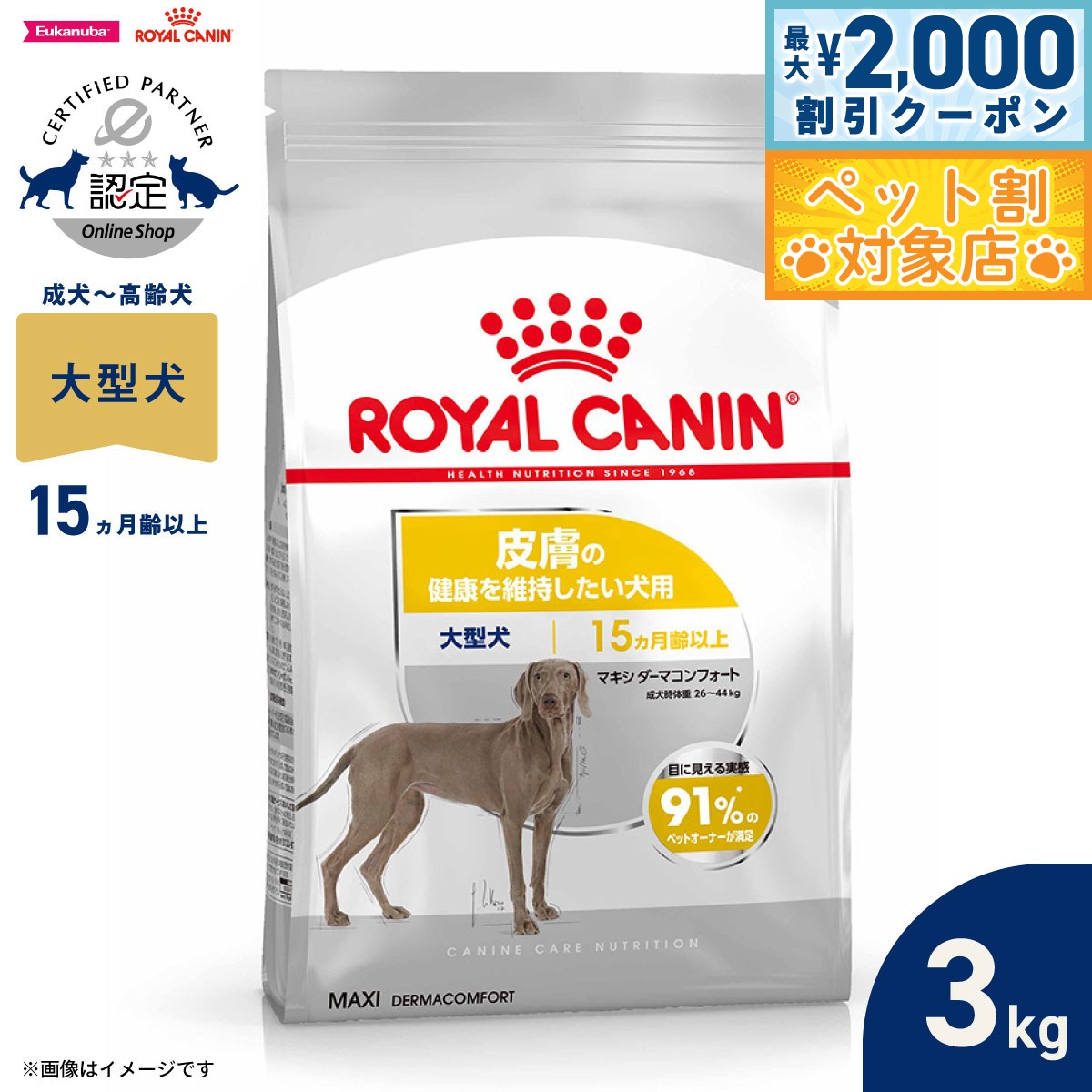 �ں���2000��OFF�����ݥ󡪡�Ź��ݥ���Ⱥ���62�ܡ��������ꡪ�ۥ�����륫�ʥ� �� �ɥå��ա��� �����ʥ��󥱥��˥塼�ȥꥷ��� �ޥ��� �����ޥ���ե���...