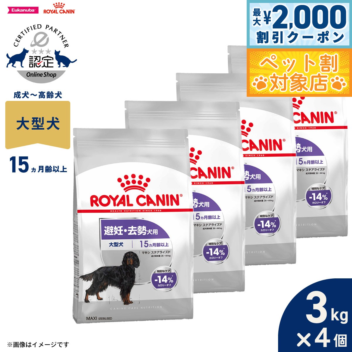 �ں���2000��OFF�����ݥ󡪡�Ź��ݥ���Ⱥ���62�ܡ��������ꡪ�ۥ�����륫�ʥ� �� �ɥå��ա��� �����ʥ��󥱥��˥塼�ȥꥷ��� �ޥ��� ���ƥ��饤���� ...