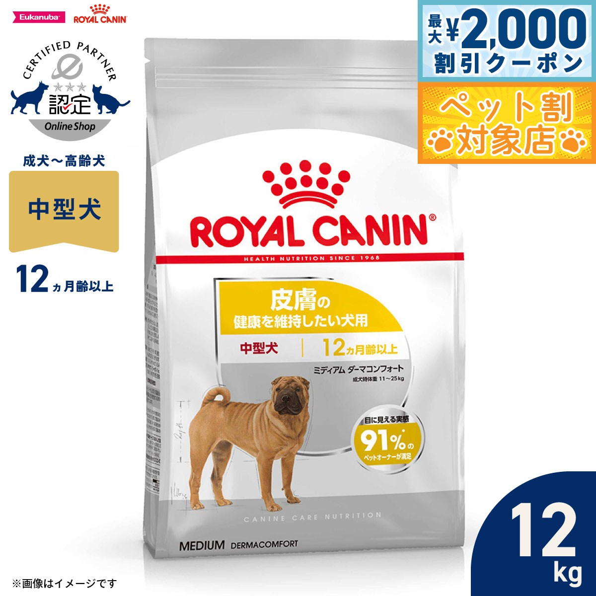 �ں���2000��OFF�����ݥ󡪡�Ź��ݥ���Ⱥ���62�ܡ��������ꡪ�ۥ�����륫�ʥ� �� �ɥå��ա��� �����ʥ��󥱥��˥塼�ȥꥷ��� �ߥǥ���������ޥ���ե�...