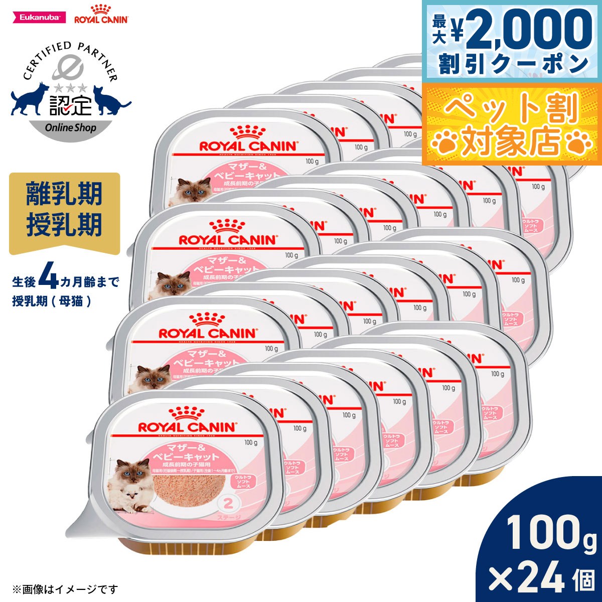 【最大2000円OFFクーポン！＆店内ポイント最大58倍！本日限定！】ロイヤルカナン 猫 キャットフード ウェットフード マザー＆ベビーキャット 100g×24個 正規品 離乳期の子猫用フード 離乳期〜生後4カ月齢まで 母猫用 授乳期