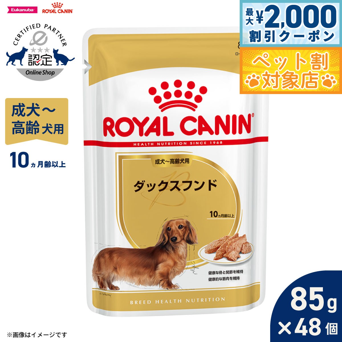 �ں���2000��OFF�����ݥ󡪡�Ź��ݥ���Ⱥ���62�ܡ��������ꡪ�ۥ�����륫�ʥ� �� �ɥå��ա��� �֥꡼�ɥإ륹�˥塼�ȥꥷ��� �����å� ���å����ե��...