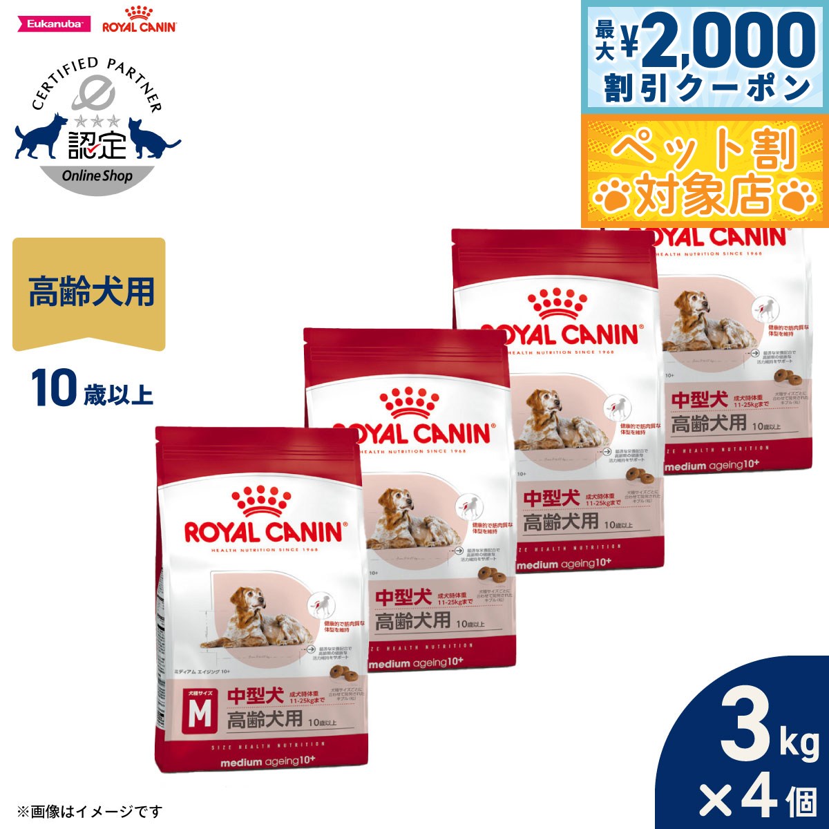 �ں���2000��OFF�����ݥ󡪡�Ź��ݥ���Ⱥ���62�ܡ��������ꡪ�ۥ�����륫�ʥ� �� �ɥå��ա��� �������إ륹�˥塼�ȥꥷ��� �ߥǥ����� �������� 1...