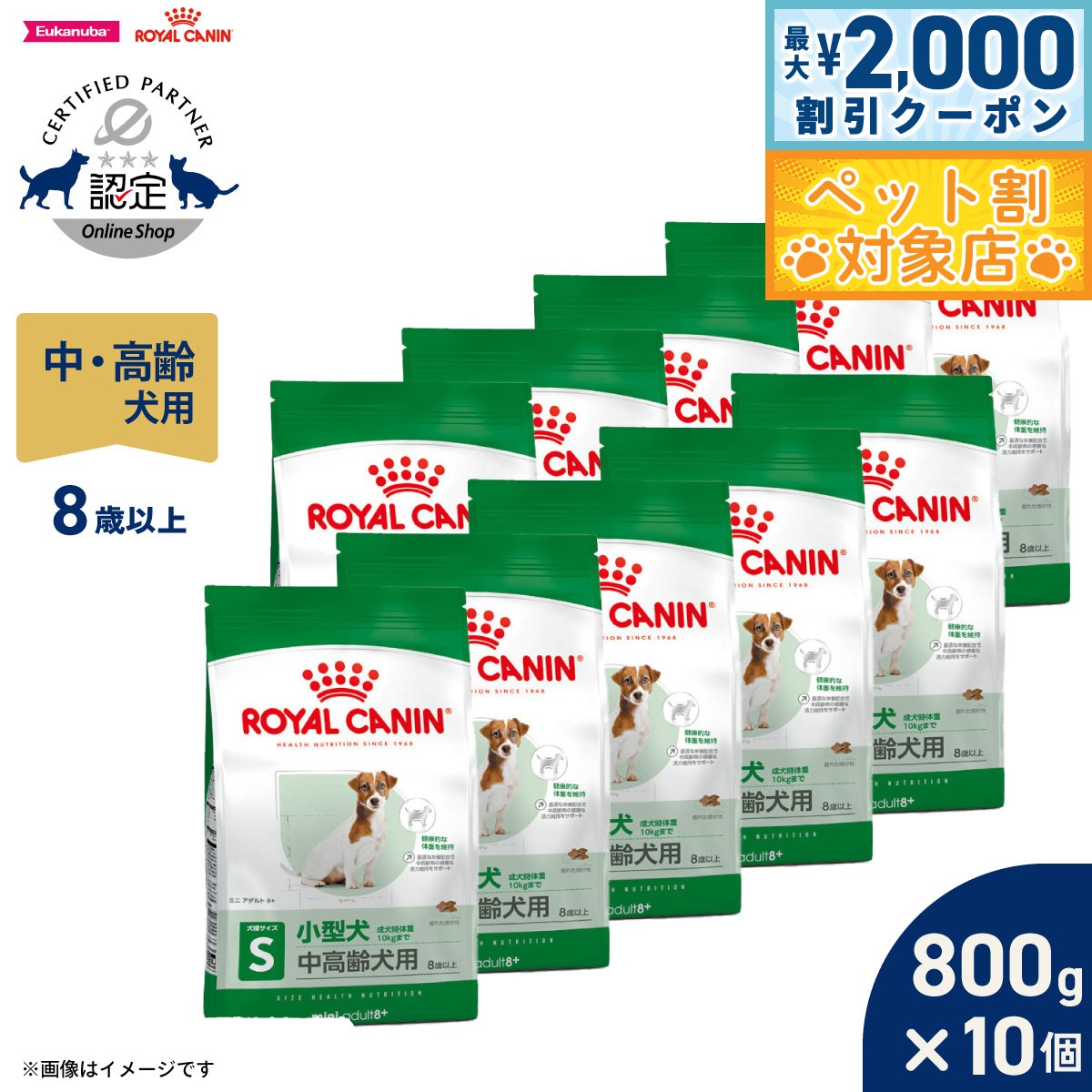 【最大2000円OFFクーポン！＆店内ポイント最大62倍！本日限定！】ロイヤルカナン 犬 ドッグフード サイズヘルスニュートリション ミニ アダルト 8＋ 800g×10個 正規品 小型犬専用フード 中高齢犬用