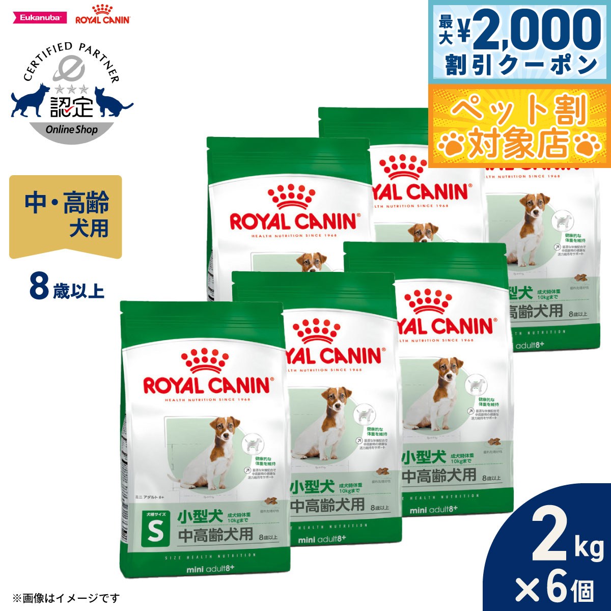 �ں���2000��OFF�����ݥ󡪡�Ź��ݥ���Ⱥ���62�ܡ��������ꡪ�ۥ�����륫�ʥ� �� �ɥå��ա��� �������إ륹�˥塼�ȥꥷ��� �ߥ� ������� 8�� 2k...