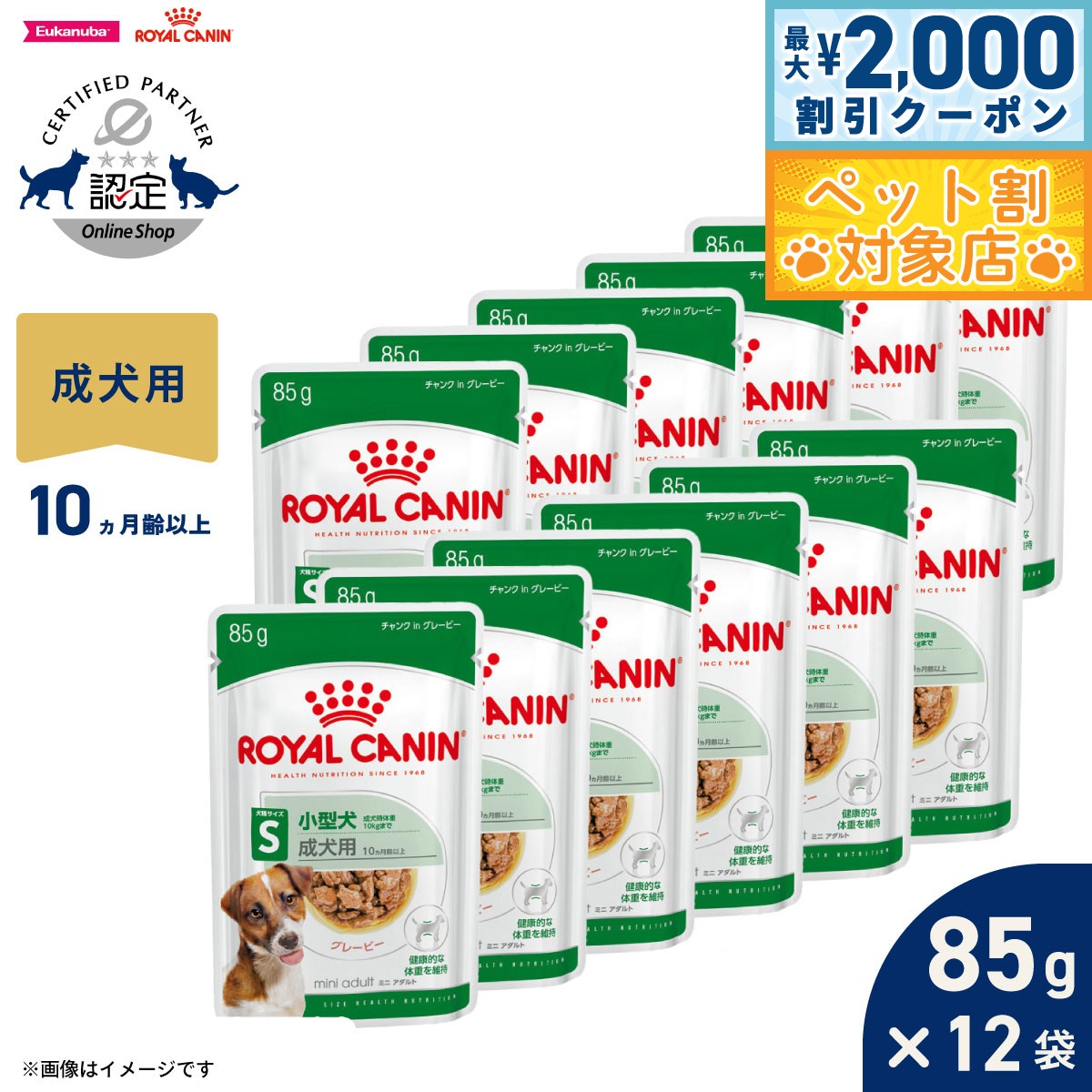 �ں���2000��OFF�����ݥ󡪡�Ź��ݥ���Ⱥ���62�ܡ��������ꡪ�ۥ�����륫�ʥ� �� �ɥå��ա��� ������ �إ륹 �˥塼�ȥꥷ��� �����å� �ߥ� ������...