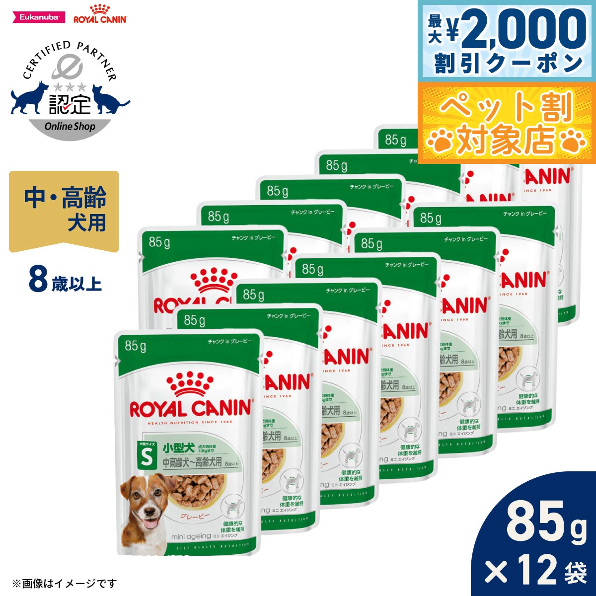 �ں���2000��OFF�����ݥ󡪡�Ź��ݥ���Ⱥ���62�ܡ��������ꡪ�ۥ�����륫�ʥ� �� �ɥå��ա��� ������ �إ륹 �˥塼�ȥꥷ��� �����å� �ߥ� ������...