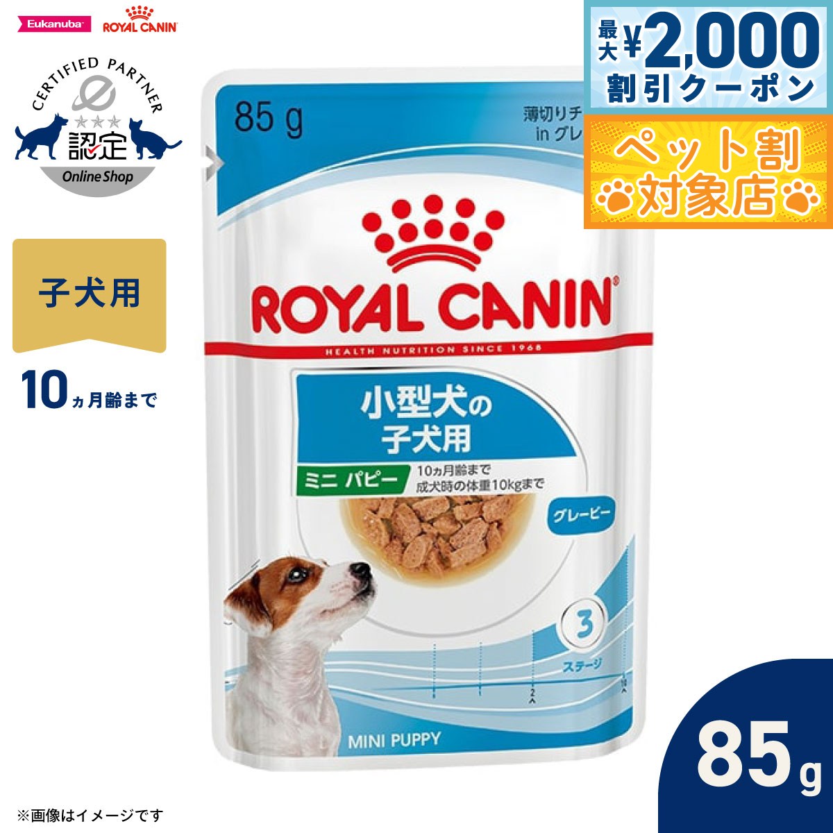 �ں���2000��OFF�����ݥ󡪡�Ź��ݥ���Ⱥ���62�ܡ��������ꡪ�ۥ�����륫�ʥ� �� �ɥå��ա��� ������ �إ륹 �˥塼�ȥꥷ��� �����å� �ߥ� �ѥԡ�...