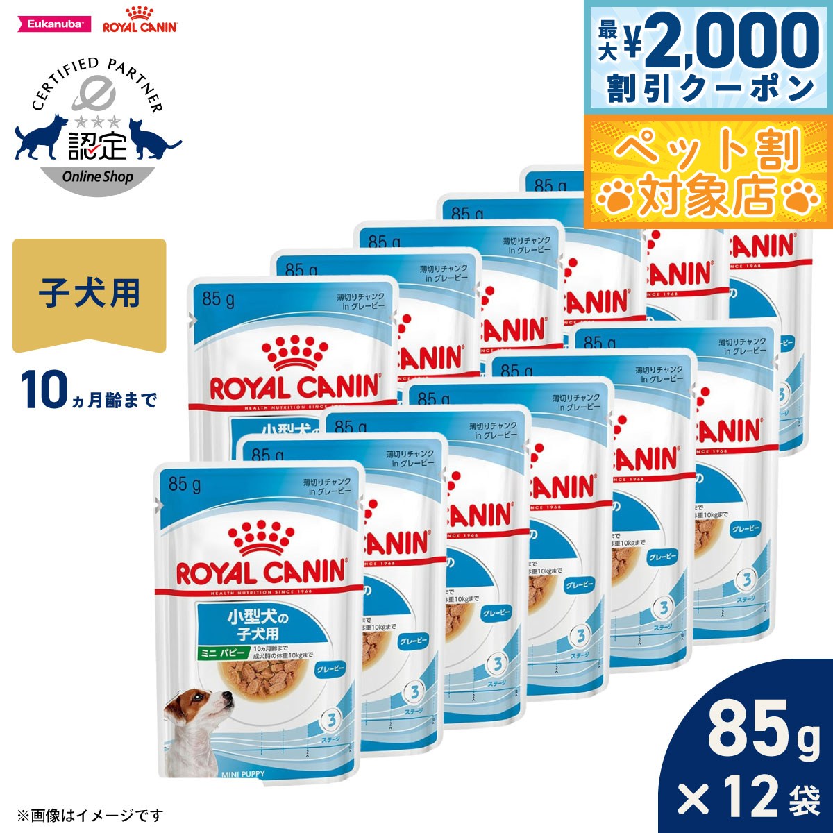 �ں���2000��OFF�����ݥ󡪡�Ź��ݥ���Ⱥ���62�ܡ��������ꡪ�ۥ�����륫�ʥ� �� �ɥå��ա��� ������ �إ륹 �˥塼�ȥꥷ��� �����å� �ߥ� �ѥԡ�...