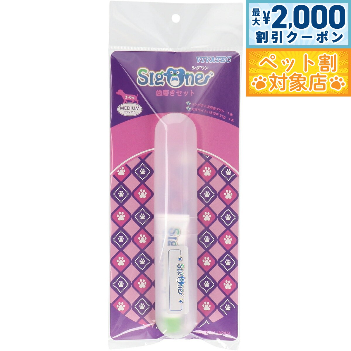 �ں���2000��OFF�����ݥ󡪡�Ź��ݥ���Ⱥ���62�ܡ��������ꡪ�ۥ������ ����ѥ��Ȼ��᤭���å� �ߥǥ�����