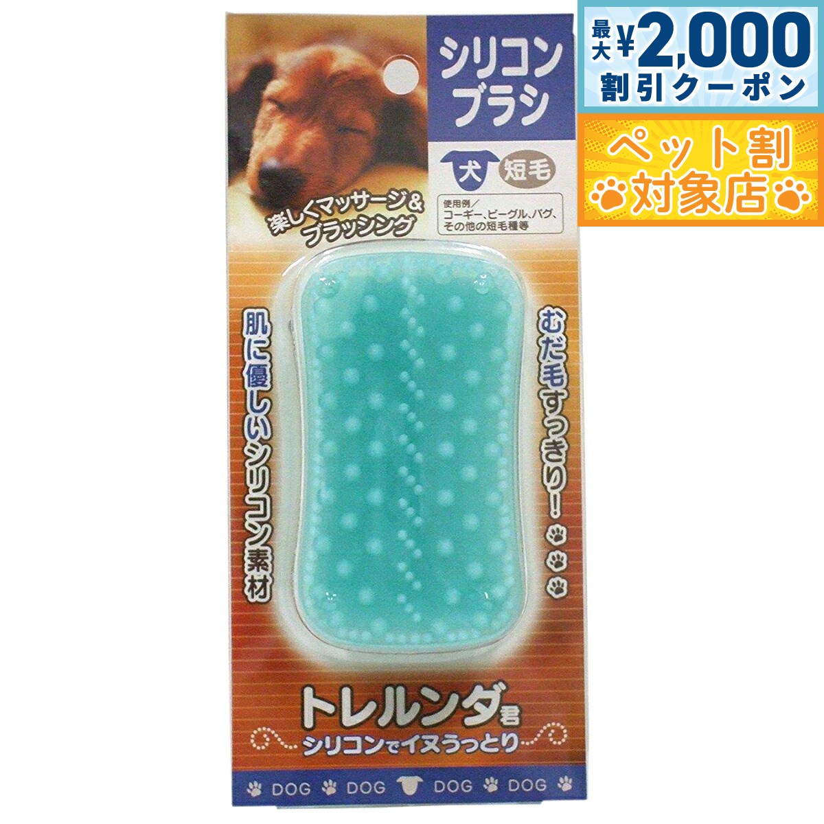 �ں���2000��OFF�����ݥ󡪡�Ź��ݥ���Ⱥ���62�ܡ��������ꡪ�ۥȥ������ ���ꥳ��֥饷 ���� û��