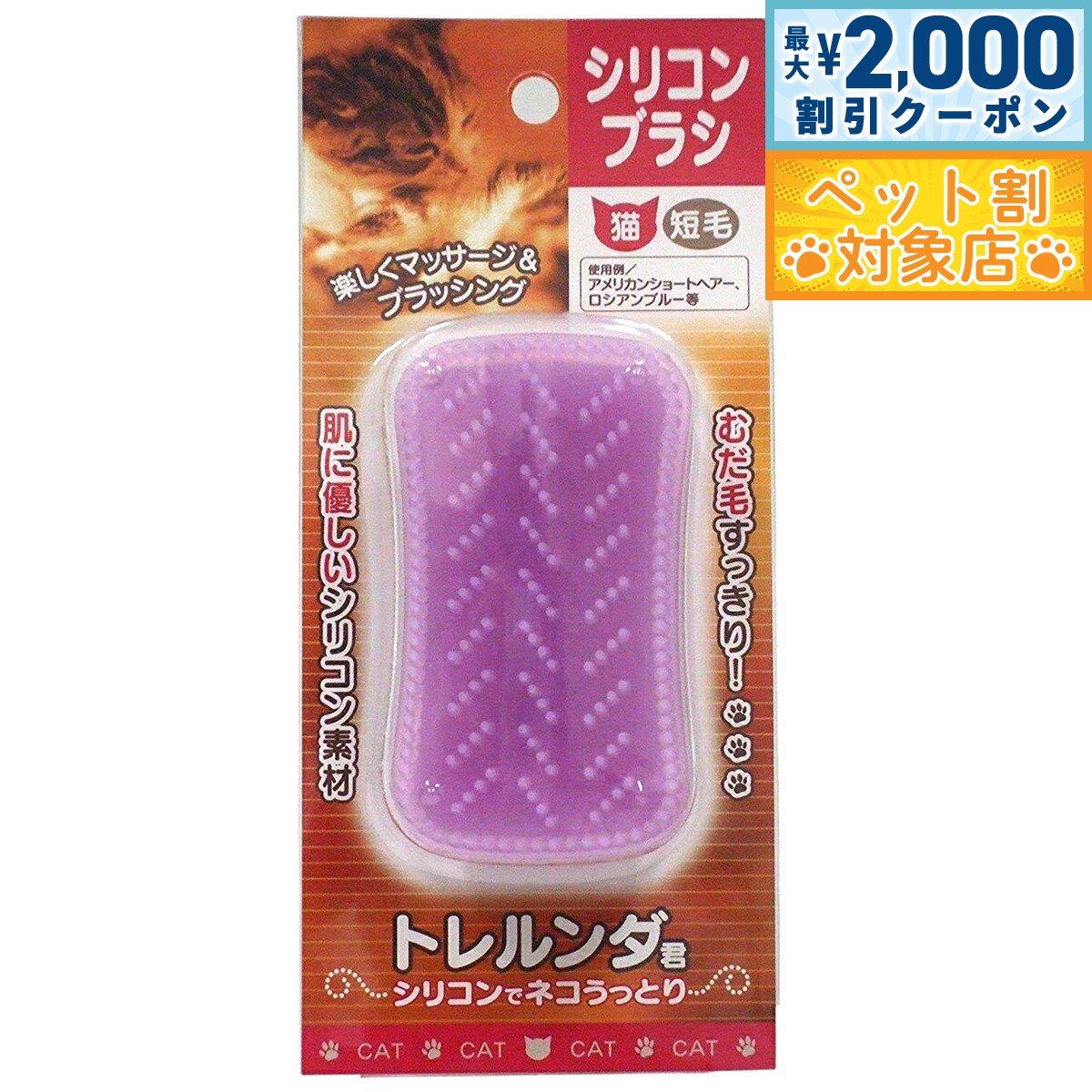 �ں���2000��OFF�����ݥ󡪡�Ź��ݥ���Ⱥ���62�ܡ��������ꡪ�ۥȥ������ ���ꥳ��֥饷 ǭ�� û��