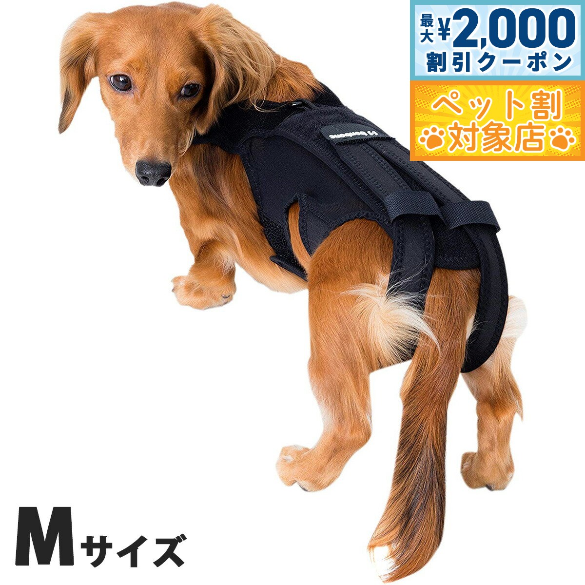 【最大2000円OFFクーポン！＆店内ポイント最大62倍！本日限定！】わんコル 持ち手つき Mサイズ ...