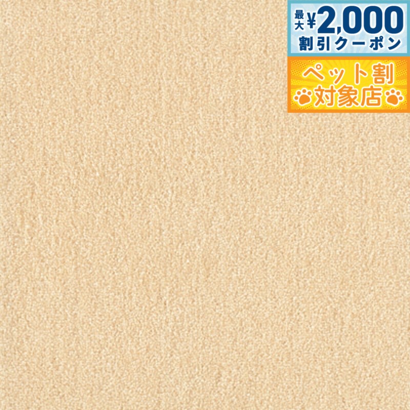 �ں���2000��OFF�����ݥ󡪡�Ź��ݥ���Ⱥ���62�ܡ��������ꡪ�ۥ�å� �������ڥåȥե��� WPF02 ���꡼�� 1��