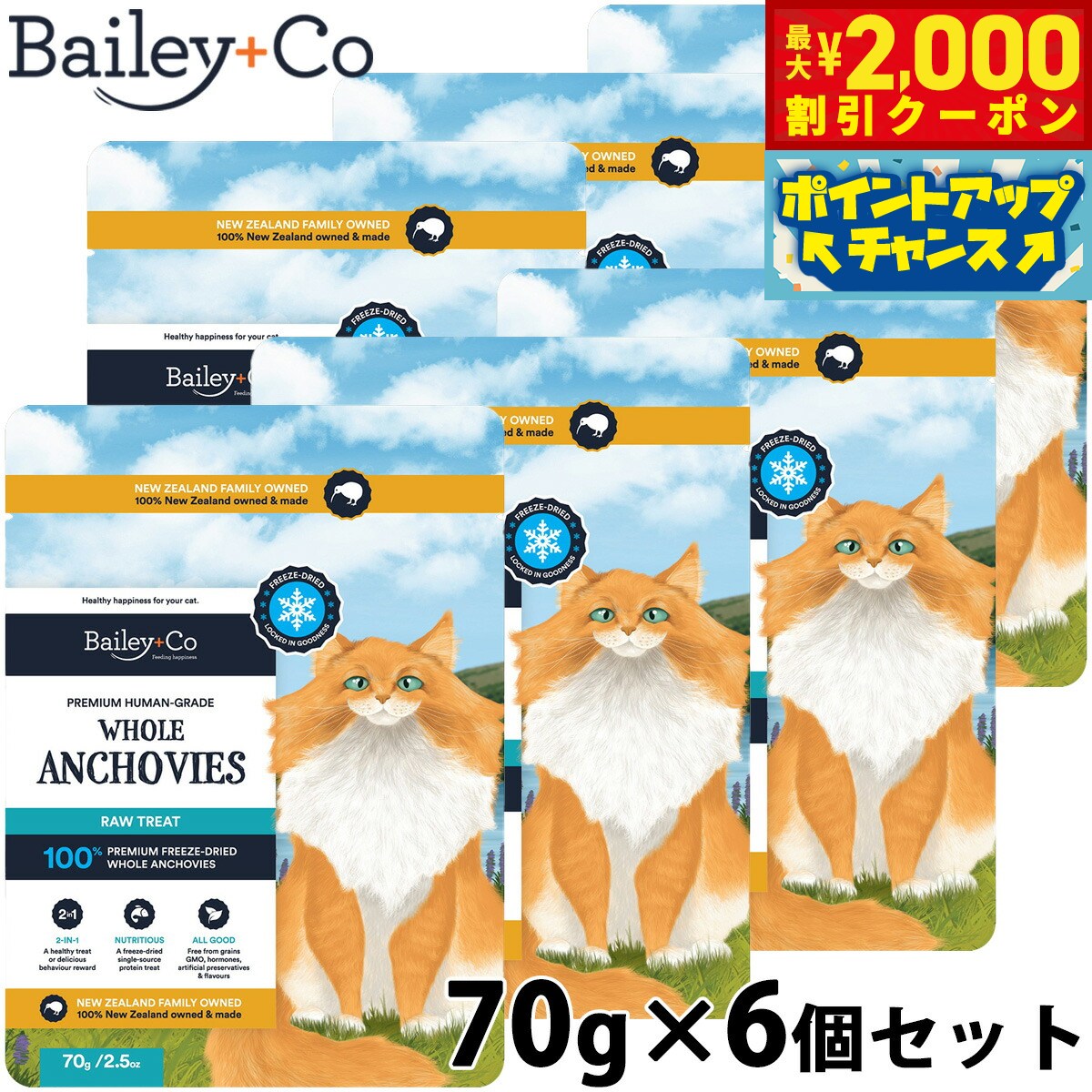 【最大2000円OFFクーポン！＆店内ポイント最大52倍！マラソン限定！】ベイリーコー Bailey＋Co キャッ..